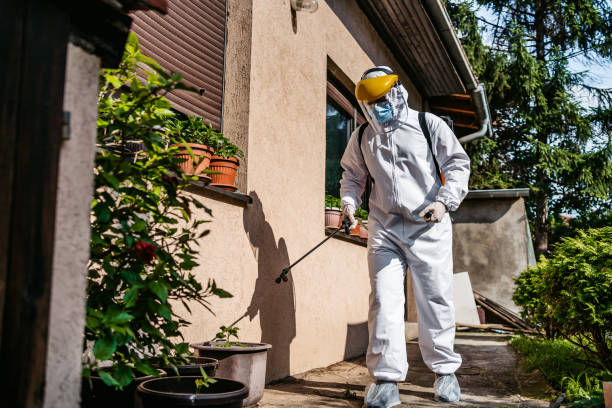 Best Pest Prevention Services  in St Jaco, IL