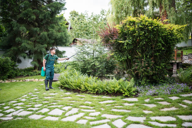 Trusted St Jaco, IL Pest Control Experts