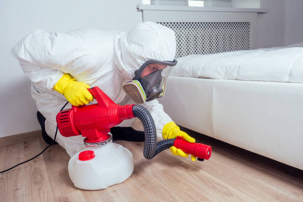 Best Rat Extermination Near Me  in St Jaco, IL